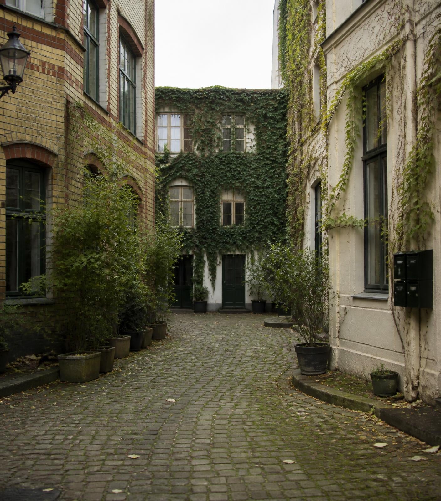 Begrünter Berliner Hinterhof mit historischer Bausubstanz